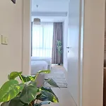 Golden Tower * تيرانا