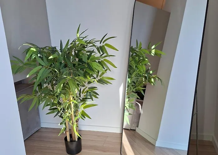 Golden Tower 地拉那